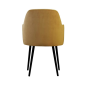 Preview: Armstuhl CAPRI im skandinavischen Desgin - backview | www.artigo.at